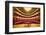 "Grand Old Lady of Broad Street," a 1857 built Opera stage with Grand Piano at the Opera Company...-null-Framed Photographic Print