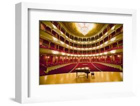 "Grand Old Lady of Broad Street," a 1857 built Opera stage with Grand Piano at the Opera Company...-null-Framed Photographic Print