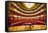 "Grand Old Lady of Broad Street," a 1857 built Opera stage with Grand Piano at the Opera Company...-null-Framed Stretched Canvas