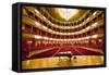 "Grand Old Lady of Broad Street," a 1857 built Opera stage with Grand Piano at the Opera Company...-null-Framed Stretched Canvas