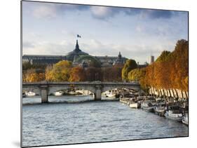 Grand Palais and Seine River, Paris, France-Walter Bibikow-Mounted Photographic Print