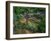 Grand Pin et Terres rouges, 1890-95 Large pine tree and red earth. Canvas, 72 x 91 cm.-Paul Cezanne-Framed Giclee Print