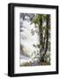 Grand Pitch on the East Branch of the Penobscot River-Jerry and Marcy Monkman-Framed Photographic Print