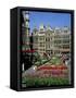 Grand Place, Brussels (Bruxelles), Belgium-Roy Rainford-Framed Stretched Canvas