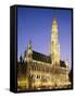 Grand Place, Town Hall, Night View, Brussels, Belgium-Steve Vidler-Framed Stretched Canvas