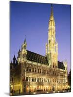 Grand Place, Town Hall, Night View, Brussels, Belgium-Steve Vidler-Mounted Photographic Print