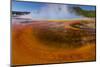 Grand Prismatic Spring, Middle Geyser Basin, Yellowstone National Park, Wyoming, USA-Panoramic Images-Mounted Photographic Print