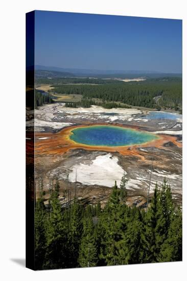 Grand Prismatic Spring, Midway Geyser Basin, Yellowstone Nat'l Park, UNESCO Site, Wyoming, USA-Peter Barritt-Stretched Canvas