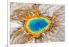 Grand Prismatic Spring, Midway Geyser Basin, Yellowstone National Park, Wyoming, Usa-Peter Adams-Framed Photographic Print