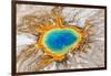 Grand Prismatic Spring, Midway Geyser Basin, Yellowstone National Park, Wyoming, Usa-Peter Adams-Framed Photographic Print