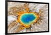 Grand Prismatic Spring, Midway Geyser Basin, Yellowstone National Park, Wyoming, Usa-Peter Adams-Framed Photographic Print