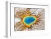 Grand Prismatic Spring, Midway Geyser Basin, Yellowstone National Park, Wyoming, Usa-Peter Adams-Framed Photographic Print