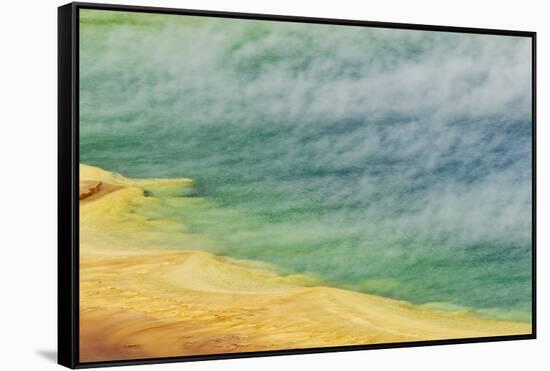 Grand Prismatic Spring, Midway Geyser Basin, Yellowstone National Park, Wyoming-Adam Jones-Framed Stretched Canvas