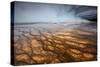 Grand Prismatic Spring - Midway Geyser Basin-David Osborn-Stretched Canvas