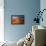 Grand Prismatic Spring - Midway Geyser Basin-David Osborn-Framed Stretched Canvas displayed on a wall