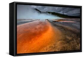 Grand Prismatic Spring - Midway Geyser Basin-David Osborn-Framed Stretched Canvas