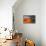 Grand Prismatic Spring - Midway Geyser Basin-David Osborn-Stretched Canvas displayed on a wall