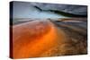 Grand Prismatic Spring - Midway Geyser Basin-David Osborn-Stretched Canvas