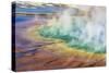 Grand Prismatic Spring, Yellowstone National Park, Wyoming, USA.-Russ Bishop-Stretched Canvas