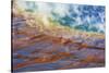 Grand Prismatic Spring, Yellowstone National Park, Wyoming, USA.-Russ Bishop-Stretched Canvas