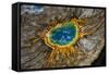 Grand Prismatic Spring, Yellowstone NP, Wyoming, USA-Jerry Ginsberg-Framed Stretched Canvas