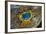 Grand Prismatic Spring, Yellowstone NP, Wyoming, USA-Jerry Ginsberg-Framed Photographic Print