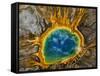 Grand Prismatic Spring, Yellowstone NP, Wyoming, USA-Jerry Ginsberg-Framed Stretched Canvas