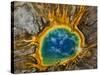 Grand Prismatic Spring, Yellowstone NP, Wyoming, USA-Jerry Ginsberg-Stretched Canvas