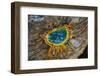 Grand Prismatic Spring, Yellowstone NP, Wyoming, USA-Jerry Ginsberg-Framed Photographic Print