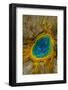 Grand Prismatic Spring, Yellowstone NP, Wyoming, USA-Jerry Ginsberg-Framed Photographic Print