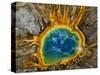 Grand Prismatic Spring, Yellowstone NP, Wyoming, USA-Jerry Ginsberg-Stretched Canvas