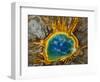 Grand Prismatic Spring, Yellowstone NP, Wyoming, USA-Jerry Ginsberg-Framed Photographic Print