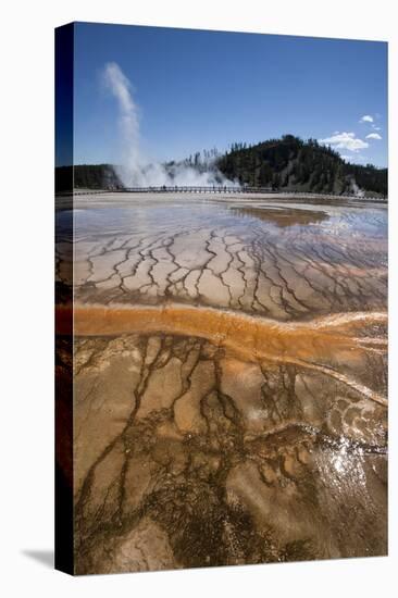 Grand Prismatic Spring-PhotoXite-Stretched Canvas