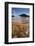 Grand Prismatic Spring-PhotoXite-Framed Photographic Print