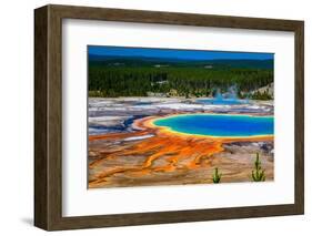 Grand Prismatic Spring-tiny-al-Framed Photographic Print