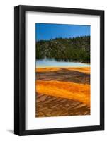 Grand Prismatic Springs-jfunk-Framed Photographic Print