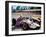 Grand Prix, Eva Marie Saint, James Garner, 1966.-null-Framed Premium Photographic Print