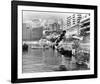 Grand Prix-null-Framed Photo