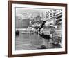 Grand Prix-null-Framed Photo