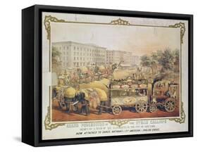 Grand Procession of the Steam Calliope Drawn by a Team of Six Elephants in the City of New York-null-Framed Stretched Canvas