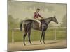 Grand Racer Kingston by Spendthrift Chromolithograph-Stocktrek Images-Mounted Art Print