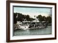 Brown Frame