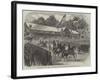 Grand Review of the Army of the Potomac before President Johnson at Washington-null-Framed Giclee Print