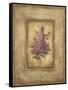 Grand Savin Lilac-Kimberly Poloson-Framed Stretched Canvas