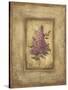 Grand Savin Lilac-Kimberly Poloson-Stretched Canvas