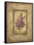 Grand Savin Lilac-Kimberly Poloson-Framed Stretched Canvas