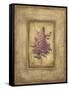 Grand Savin Lilac-Kimberly Poloson-Framed Stretched Canvas