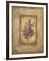 Grand Savin Lilac-Kimberly Poloson-Framed Art Print