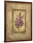 Grand Savin Lilac-Kimberly Poloson-Framed Art Print