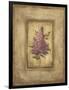 Grand Savin Lilac-Kimberly Poloson-Framed Art Print